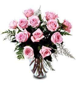 roses-2